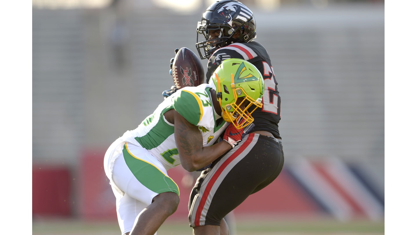 New York Guardians win inaugural XFL game against Tampa Bay Vipers – New  York Daily News